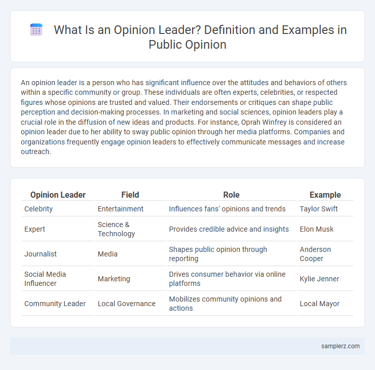 What Is an Opinion Leader? Definition and Examples in Public Opinion