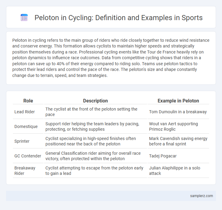 Peloton in Cycling: Definition and Examples in Sports