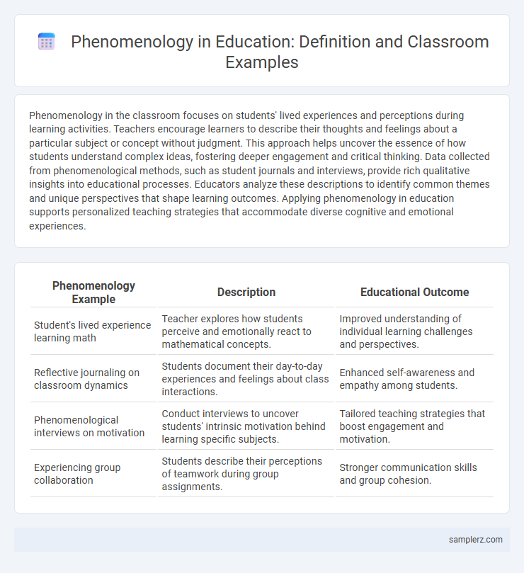 Phenomenology in Education: Definition and Classroom Examples