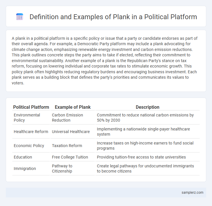 Definition and Examples of Plank in a Political Platform