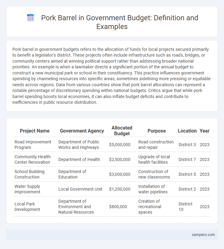 Pork Barrel in Government Budget: Definition and Examples