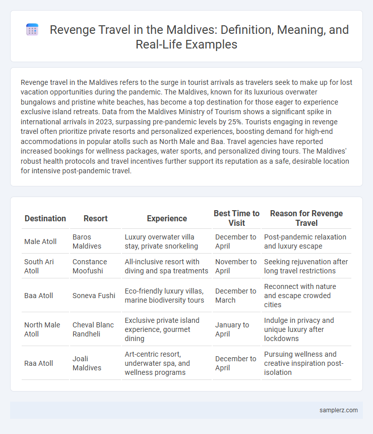 Revenge Travel in the Maldives: Definition, Meaning, and Real-Life Examples