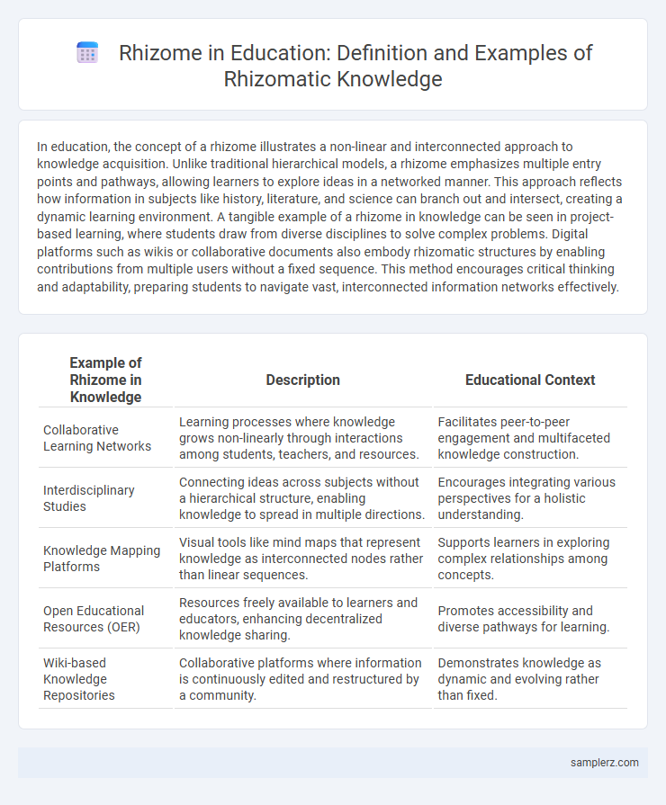 Rhizome in Education: Definition and Examples of Rhizomatic Knowledge