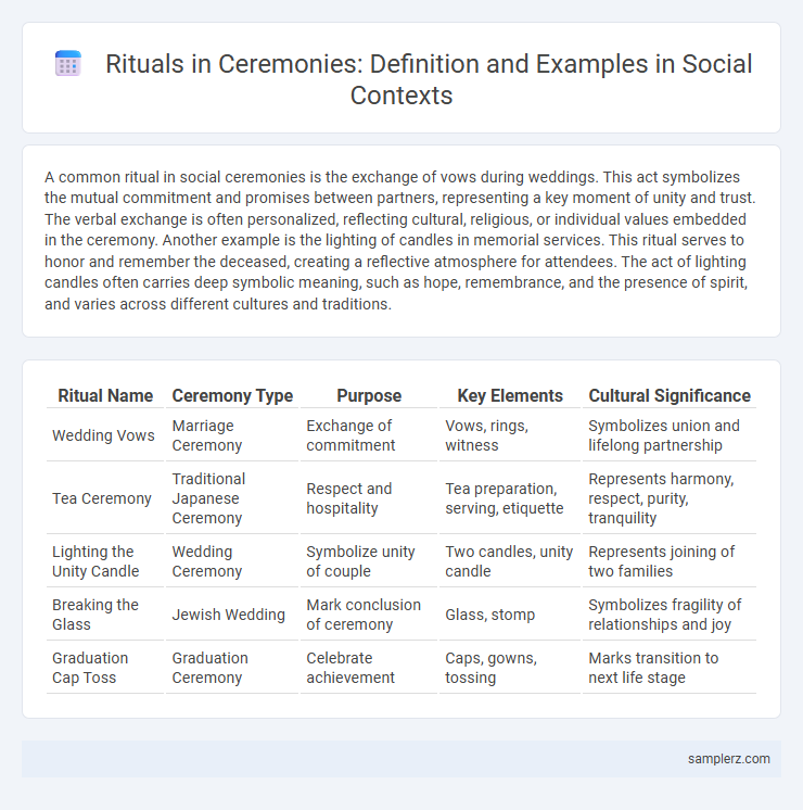 Rituals in Ceremonies: Definition and Examples in Social Contexts