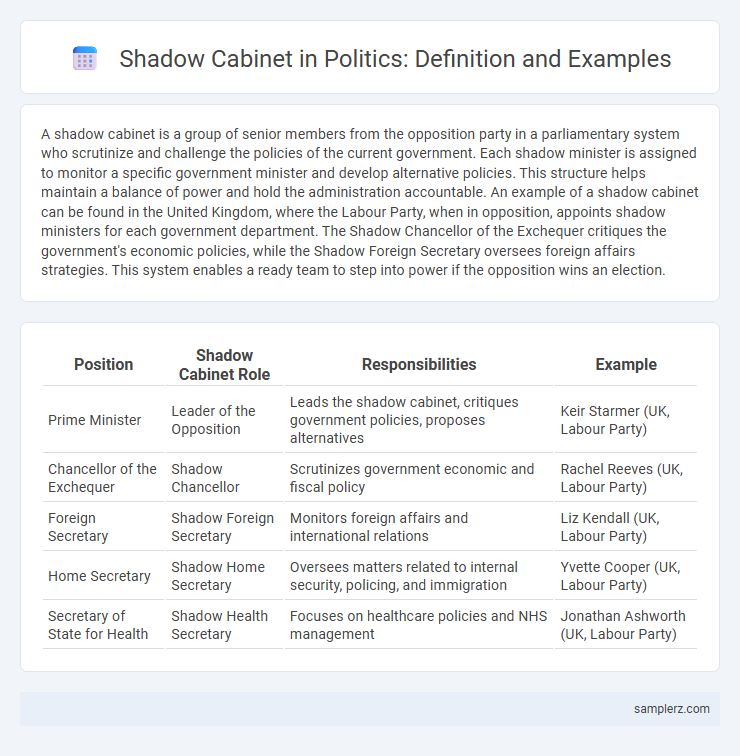Shadow Cabinet in Politics: Definition and Examples