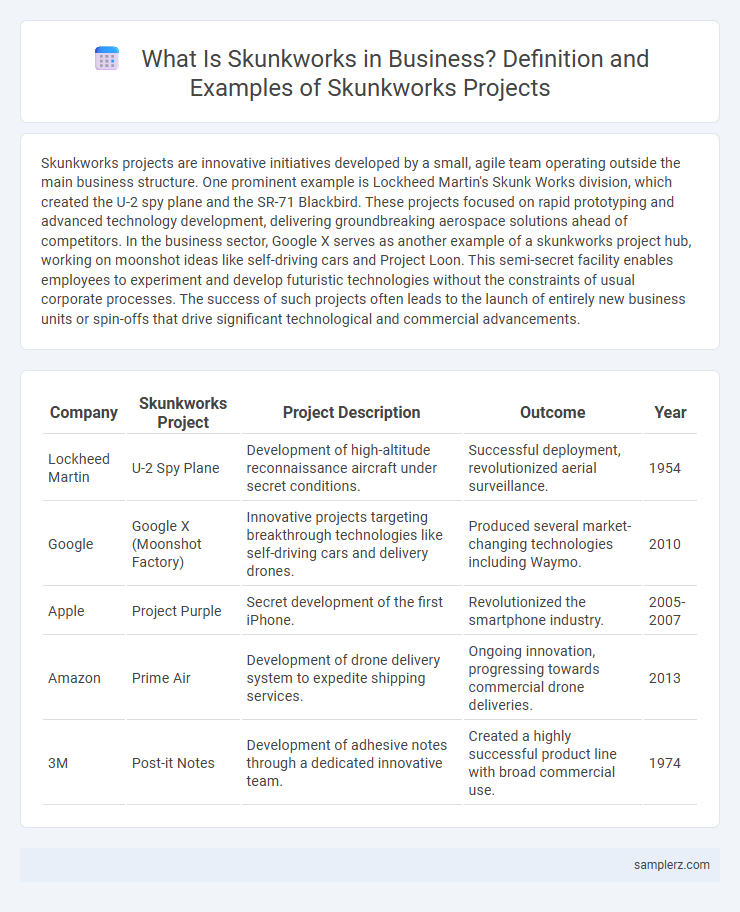 What Is Skunkworks in Business? Definition and Examples of Skunkworks Projects