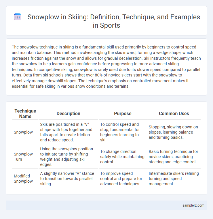 Snowplow in Skiing: Definition, Technique, and Examples in Sports