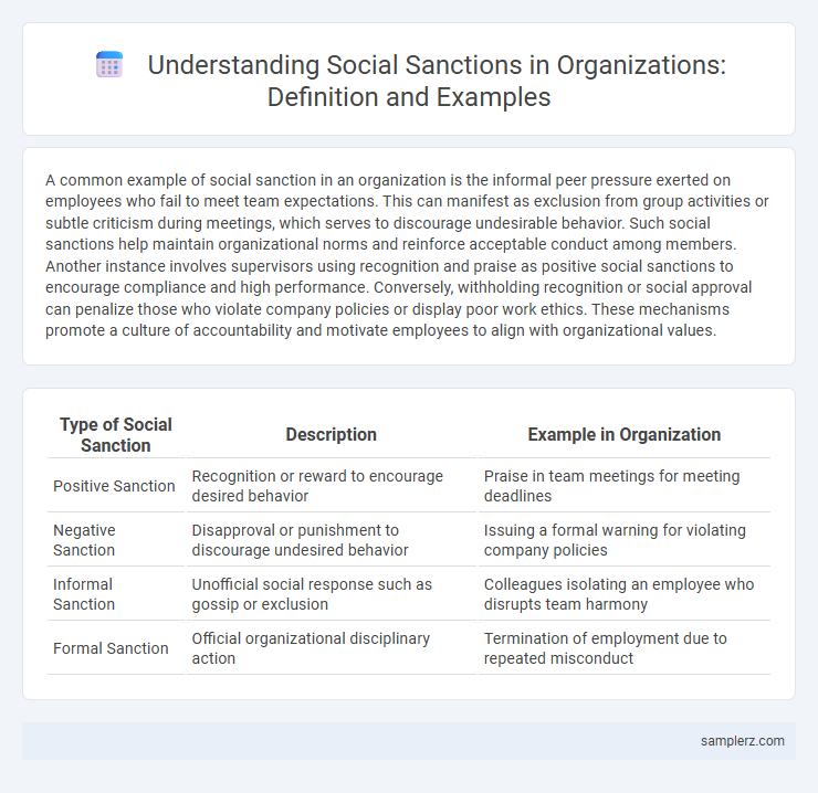 Understanding Social Sanctions in Organizations: Definition and Examples