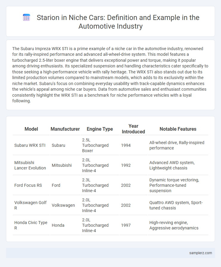 Starion in Niche Cars: Definition and Example in the Automotive Industry