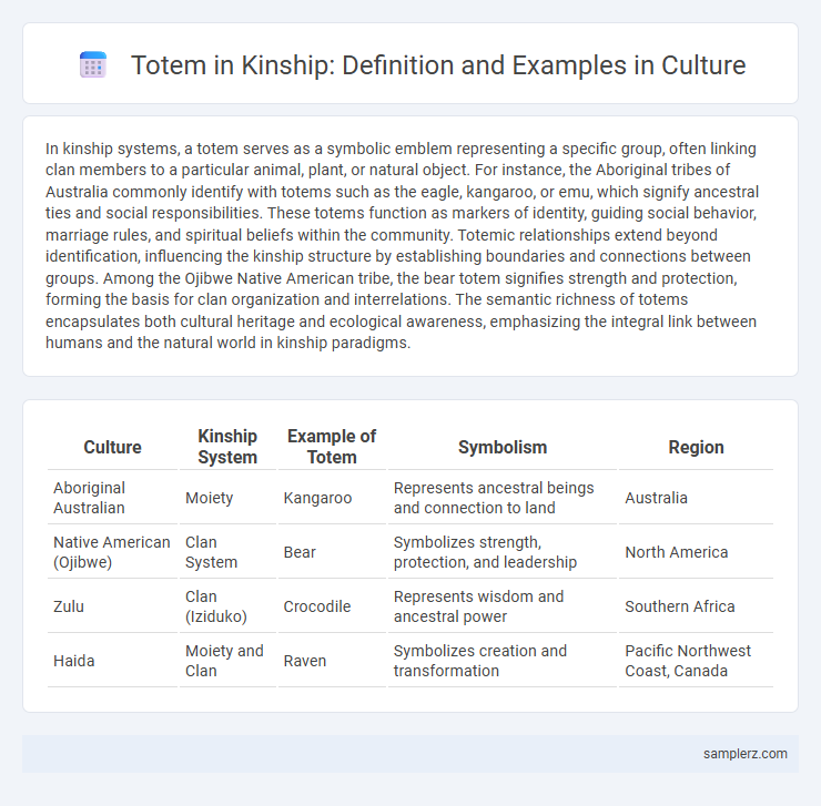 Totem in Kinship: Definition and Examples in Culture