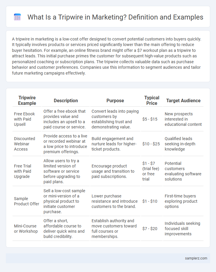 What Is a Tripwire in Marketing? Definition and Examples
