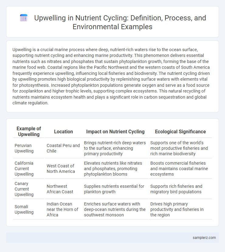Upwelling in Nutrient Cycling: Definition, Process, and Environmental Examples